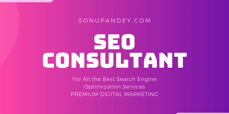 Best SEO Consultant & SEO Expert from Delhi India