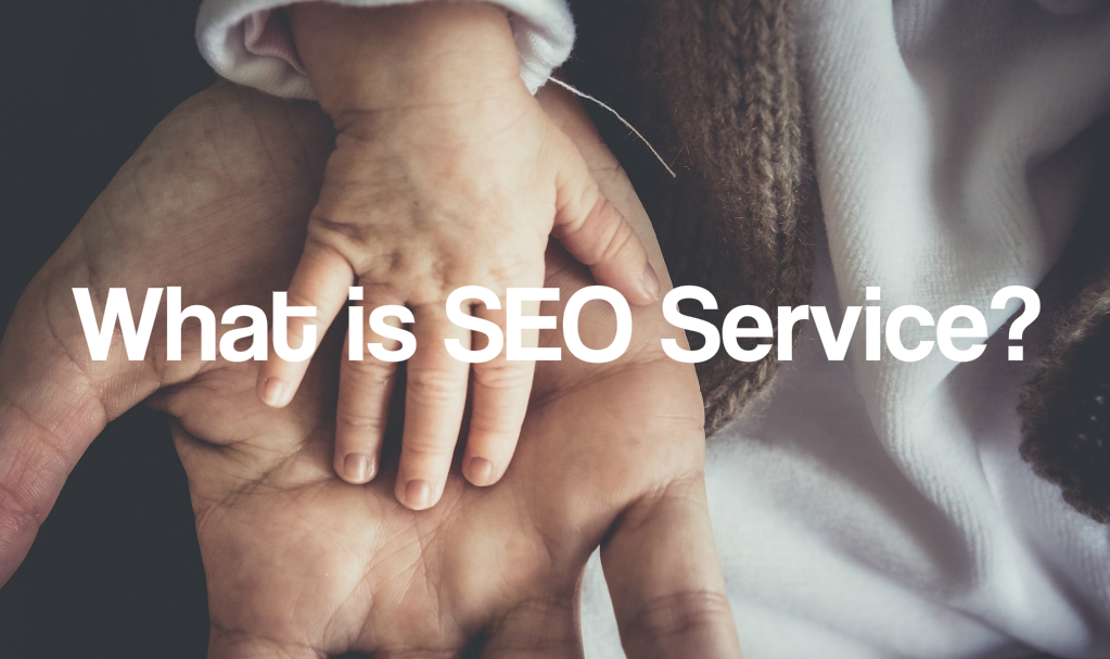 What is SEO Services what is seo service professional seo roi